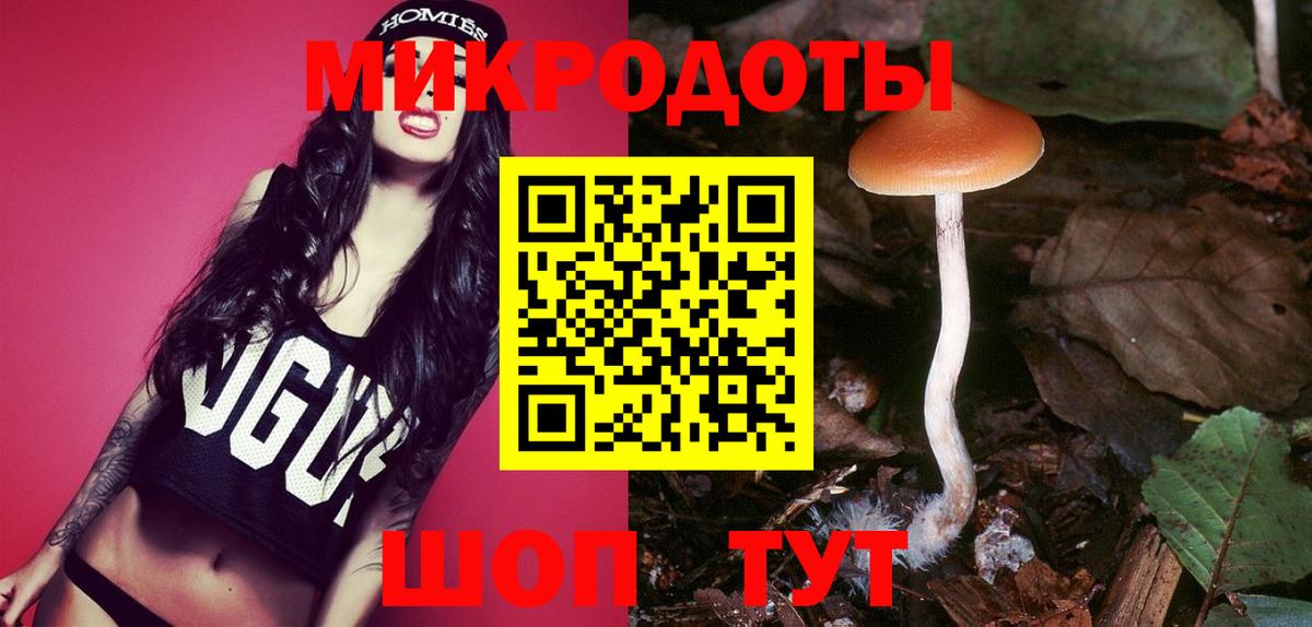 Галлюциногенные грибы GOLDEN TEACHER Канаш