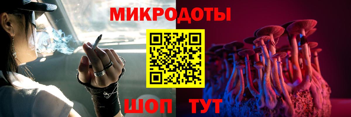 Псилоцибиновые грибы ЛСД  Вход с VPN  Галлюциногенные грибы Psilocybe  Канаш 